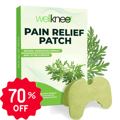 Wellnee Pain Relief Patch